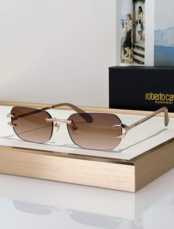 Picture of Roberto Cavalli Sunglasses _SKUfw79280012fw